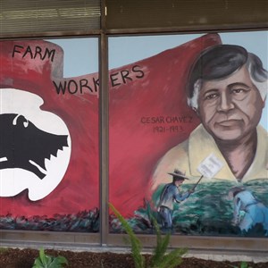 Los Angeles Visual Artists (LAVA)